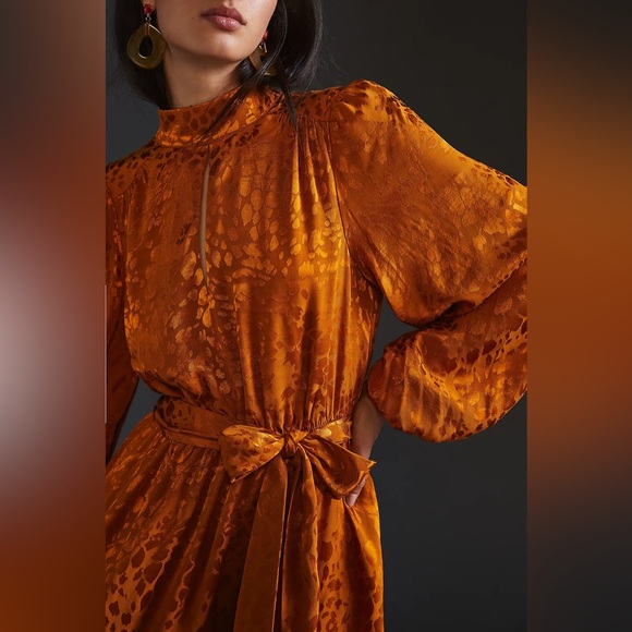 Sandra Darren Rattle Snake Silk Dress - Picture 11 of 11